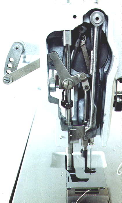 144wFace.JPG (123447 bytes)