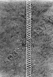 148-5s2.jpg (11527 bytes)